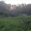 송해면-3 이미지