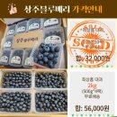 상주무농약블루베리 새콤달콤 최상품대과 2키로 이미지