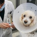 담은동물병원 이미지