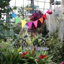 퍼스트가든 동물카페 이미지