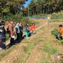 홍주성천년여행길 이미지