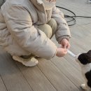 어린왕자디저트카페 | 별내대형카페 추천, 아이와 데이트하기 좋은 꽃과 어린 왕자 브런치 디저트 후기
