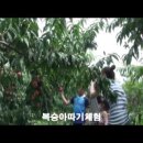 곰마을민박 이미지