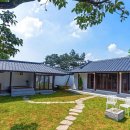 예쁨중DOG 이미지