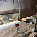 라스칼라 | [부산] 파라다이스호텔부산 라스칼라 런치 내돈내산 후기