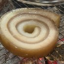 고기삼촌네