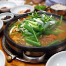 숲속의오리 이미지