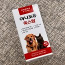 노령견 영양제 강아지 항산화제 추천 아나포유 옥스탑 급여후기