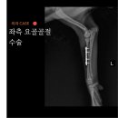 서창사랑동물의료센터 이미지