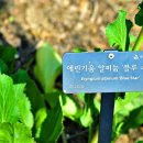 에린 - 남구 명덕로26길 58 | 에린