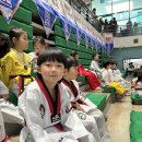 경희대 선 태권도장 이미지