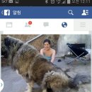 맥스켄넬 이미지