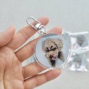 주식회사 반려동물 | 세상에 하나뿐이 반려동물 아크릴 키링 제작 | 굿즈천재 1,2,3 이벤트한다고??