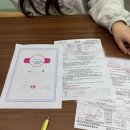 더 반려 강아지분양 고양이분양 잠실본점 이미지