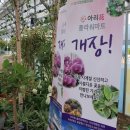 사계절꽃집 이미지