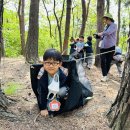 해오름 유아숲체험원 이미지