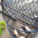 용대리낚시터 이미지