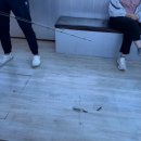 낚시가 처음인 초보들의 인천 남항 은아네 광어낚시 후기 (feat. 초보 무경험자 가넝)