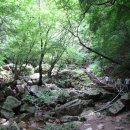 검봉산칡국수 티스토리