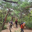 (주)브레인움 이미지