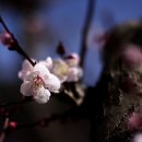 경주요양병원 이미지