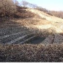 감나무골 식당 민박 이미지
