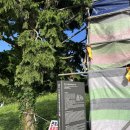 한림성 | 제주 한림 여행 | 성이시돌목장 &amp; 우유부단 카페 방문 후기