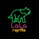 데스크리움] 네온 크리트 주문 제작 후기_ LaLareptile +공룡