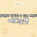 에디슨동물병원 네이버블로그