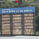 창동 가로수길 | 2oO과 지나간 7월•••