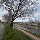 행복한숯불구이 | 제천 하소천 맛집 행복한 숯불구이 리얼리뷰 찐 후기