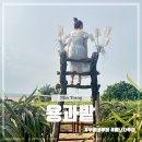 용농장 | 나트랑 무이네 사막투어 용과농장 후기 및 사진스팟