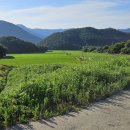 부여(외산)-7 이미지