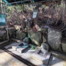 필봉약수터 이미지