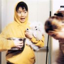 플란다스의개 이미지