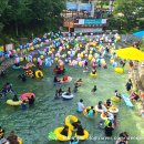 숲속 한옥 펜션 이미지