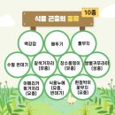 식용곤충 종류 이미지