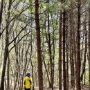 원주굽이길 원10코스 바람머리산길 | 원주기업도시둘레길 X 원주굽이길 원10코스 바람머리산길