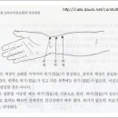 삼일이용