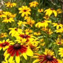 팔공산올레길 2코스 이미지