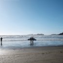 [캐나다 토피노] 캠핑장 추천 Surf Grove 후기 + 콕스베이, 서핑, 사우나