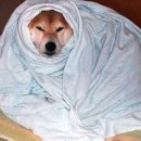 뫼비우스 체육관 이미지