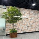 행복나무인테리어 이미지