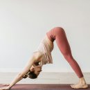 운동 초보자가 꼭 알아야 할 5가지 동작 이미지