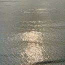 당진해양캠핑공원 | 당진 캠핑장] 삽교호 바로 옆 가성비있는 당진해양공원 캠핑장- B1사이트 리뷰