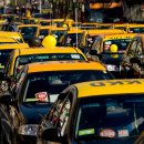 (주)네오렌트카 이미지