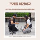 하남애견훈련소 | 경기 구리/방문 훈련 - 프래들 애견학교 교감을 통한 강아지 산책 짖음 교정 솔직 후기
