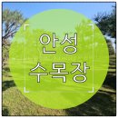길손의쉼터 무료경로식당 | 안성 수목장 가족형 분양 비용과 시설 환경 총정리