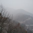 장원초교 이미지