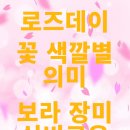 에스애드 이미지